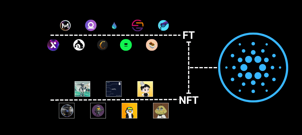 What are Cardano Native Tokens (CNTs) | Waffle Capital Ltd